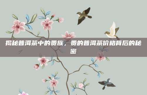 揭秘普洱茶中的贵族,贵的普洱茶价格背后的秘密