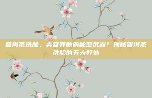 普洱茶洗脸,美容养颜的秘密武器!揭秘普洱茶洗脸的五大好处
