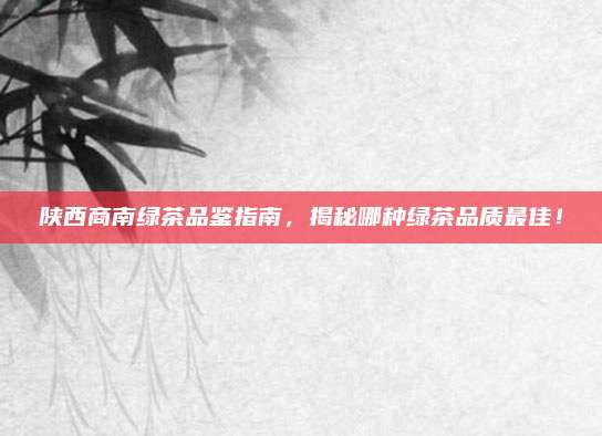 陕西商南绿茶品鉴指南,揭秘哪种绿茶品质最佳!