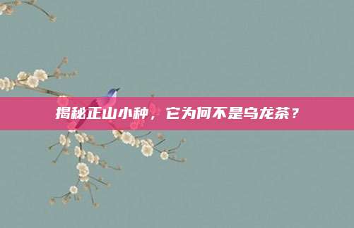 揭秘正山小种，它为何不是乌龙茶？