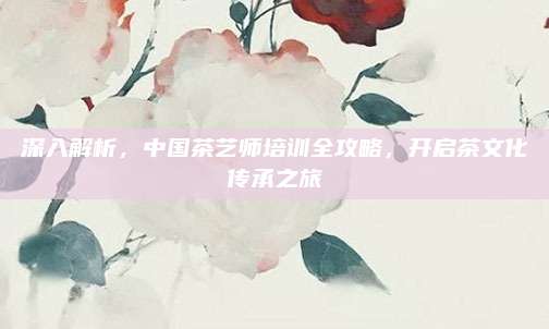 深入解析,中国茶艺师培训全攻略,开启茶文化传承之旅