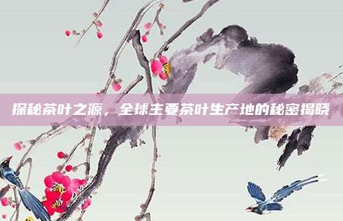 探秘茶叶之源,全球主要茶叶生产地的秘密揭晓