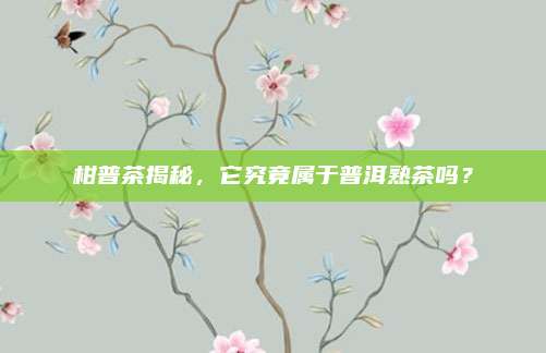 柑普茶揭秘,它究竟属于普洱熟茶吗?