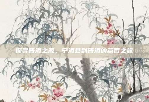 探寻普洱之源,宁洱县到普洱的茶香之旅