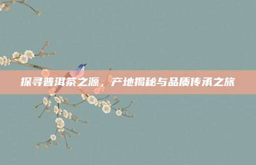 探寻普洱茶之源,产地揭秘与品质传承之旅