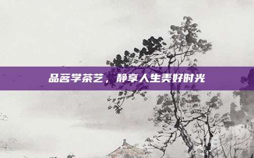 品茗学茶艺,静享人生美好时光