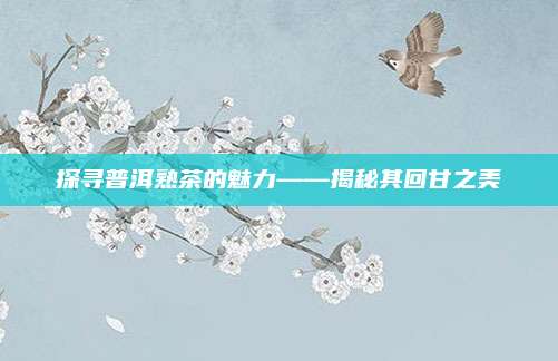 探寻普洱熟茶的魅力——揭秘其回甘之美