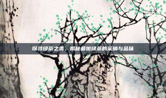 探寻绿茶之美,揭秘最嫩绿茶的采摘与品味