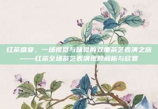红茶盛宴,一场视觉与味觉的双重茶艺表演之旅——红茶全场茶艺表演视频解析与欣赏