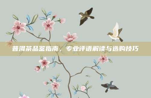 普洱茶品鉴指南,专业评语解读与选购技巧