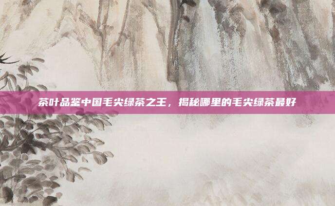 茶叶品鉴中国毛尖绿茶之王，揭秘哪里的毛尖绿茶最好