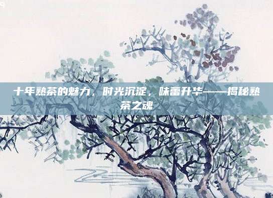 十年熟茶的魅力,时光沉淀,味蕾升华——揭秘熟茶之魂