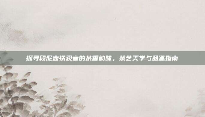 探寻段泥壶铁观音的茶香韵味，茶艺美学与品鉴指南