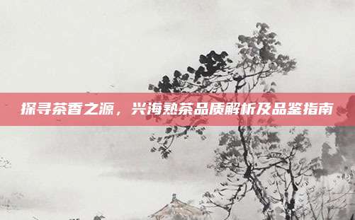探寻茶香之源,兴海熟茶品质解析及品鉴指南