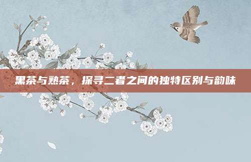 黑茶与熟茶,探寻二者之间的独特区别与韵味