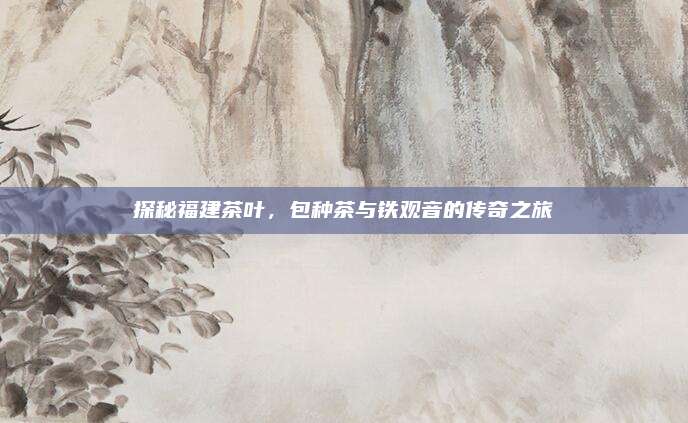 探秘福建茶叶,包种茶与铁观音的传奇之旅