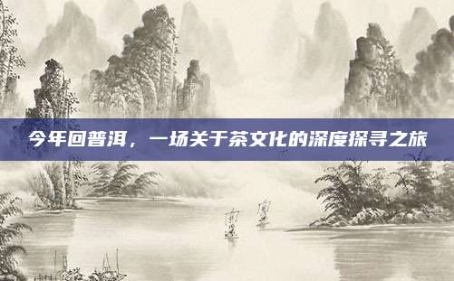 今年回普洱,一场关于茶文化的深度探寻之旅