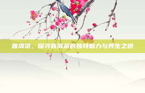 普洱贺，探寻普洱茶的独特魅力与养生之道