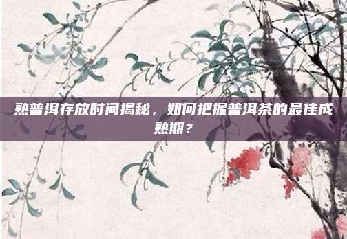 熟普洱存放时间揭秘,如何把握普洱茶的最佳成熟期?