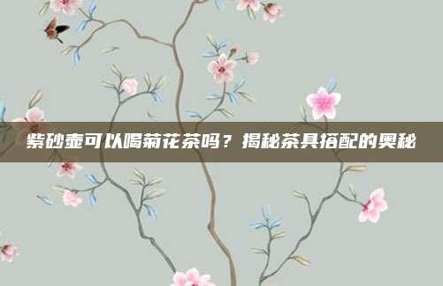 紫砂壶可以喝菊花茶吗？揭秘茶具搭配的奥秘