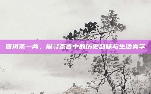 普洱茶一两，探寻茶香中的历史韵味与生活美学