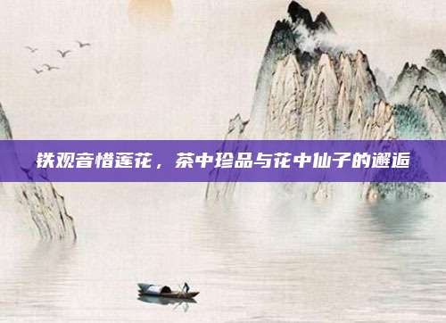 铁观音惜莲花，茶中珍品与花中仙子的邂逅
