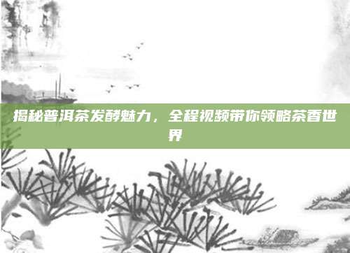 揭秘普洱茶发酵魅力，全程视频带你领略茶香世界