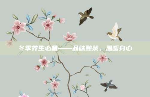 冬季养生必备——品味熟茶,温暖身心