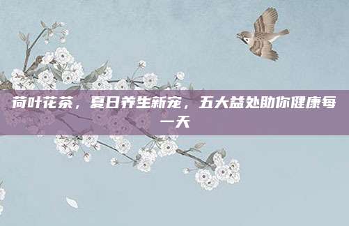 荷叶花茶，夏日养生新宠，五大益处助你健康每一天