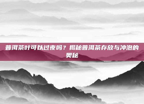 普洱茶叶可以过夜吗？揭秘普洱茶存放与冲泡的奥秘