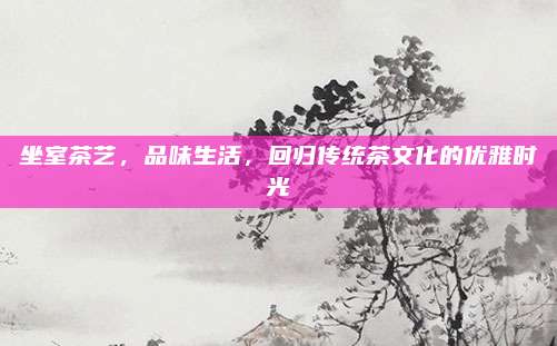 坐室茶艺,品味生活,回归传统茶文化的优雅时光