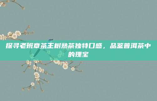 探寻老班章茶王树熟茶独特口感，品鉴普洱茶中的瑰宝