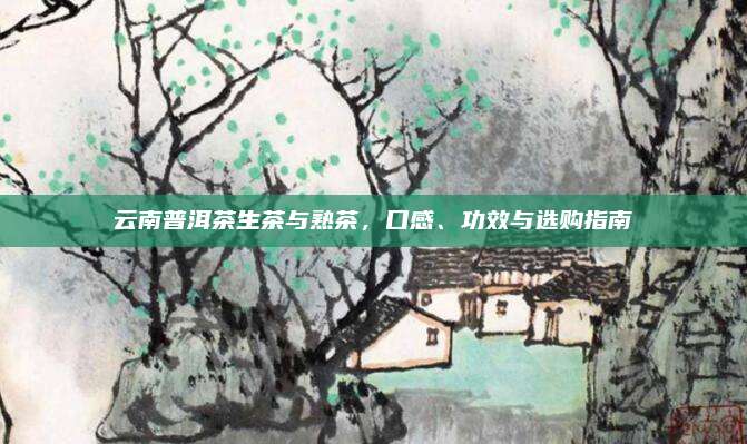 云南普洱茶生茶与熟茶，口感、功效与选购指南