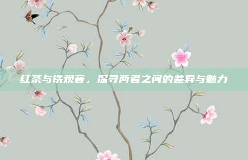 红茶与铁观音，探寻两者之间的差异与魅力