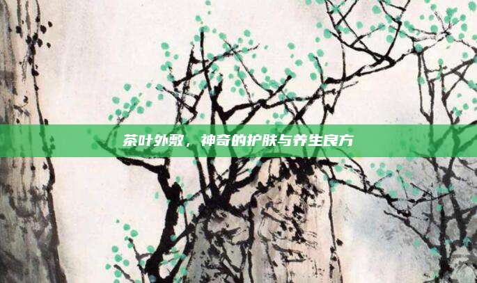 茶叶外敷,神奇的护肤与养生良方