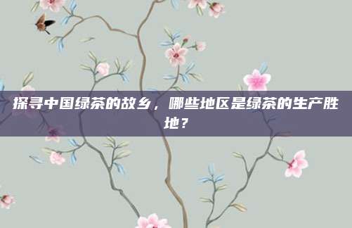 探寻中国绿茶的故乡，哪些地区是绿茶的生产胜地？
