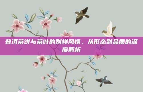普洱茶饼与茶叶的别样风情，从形态到品质的深度解析
