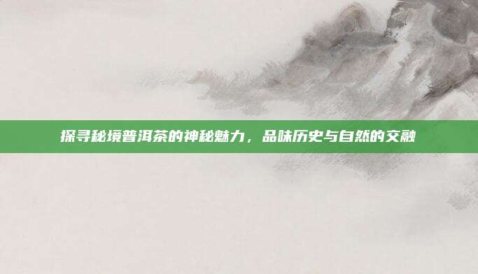 探寻秘境普洱茶的神秘魅力,品味历史与自然的交融