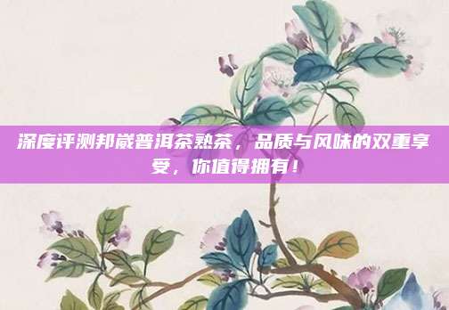 深度评测邦崴普洱茶熟茶,品质与风味的双重享受,你值得拥有!