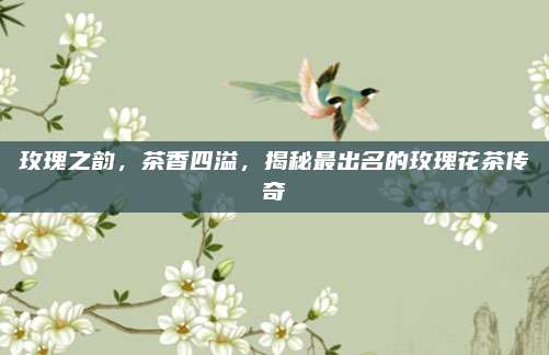 玫瑰之韵,茶香四溢,揭秘最出名的玫瑰花茶传奇