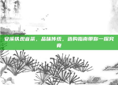 安溪铁观音茶，品味传统，选购指南带你一探究竟