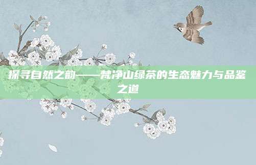 探寻自然之韵——梵净山绿茶的生态魅力与品鉴之道