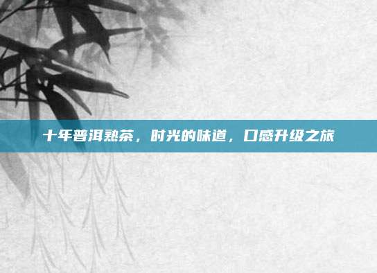 十年普洱熟茶,时光的味道,口感升级之旅
