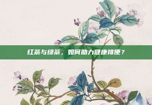 红茶与绿茶,如何助力健康排便?