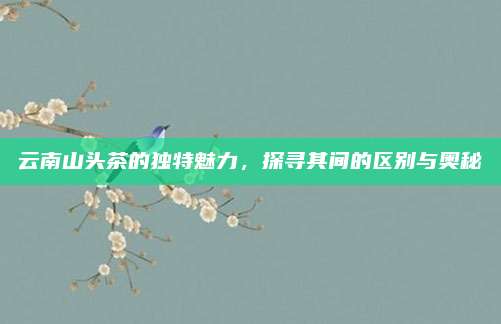 云南山头茶的独特魅力,探寻其间的区别与奥秘