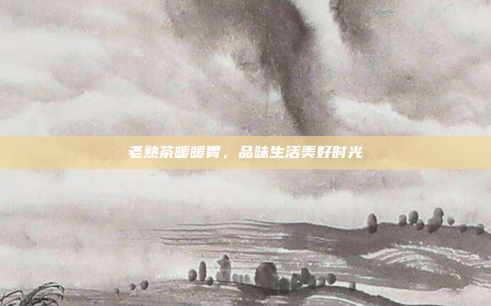 老熟茶暖暖胃，品味生活美好时光