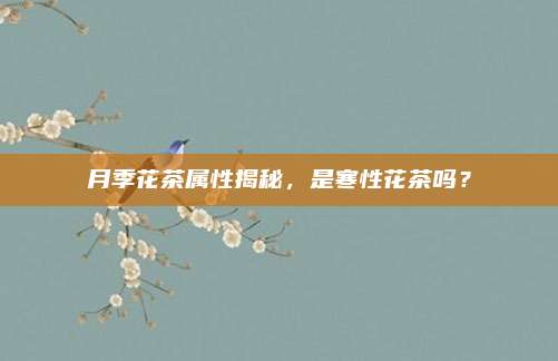 月季花茶属性揭秘,是寒性花茶吗?