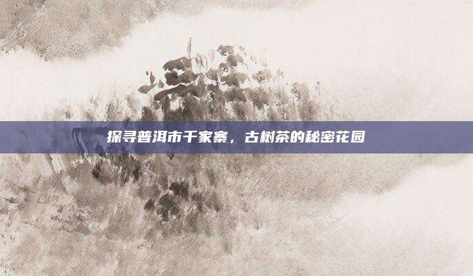 探寻普洱市千家寨,古树茶的秘密花园
