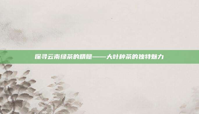 探寻云南绿茶的精髓——大叶种茶的独特魅力