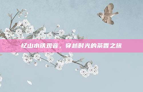 忆山水铁观音,穿越时光的茶香之旅